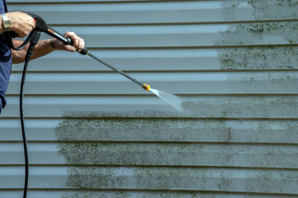 Professional  Pressure Washing Services in Frostburg, MD